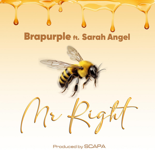 Mr Right (Feat. Sarah Angel)