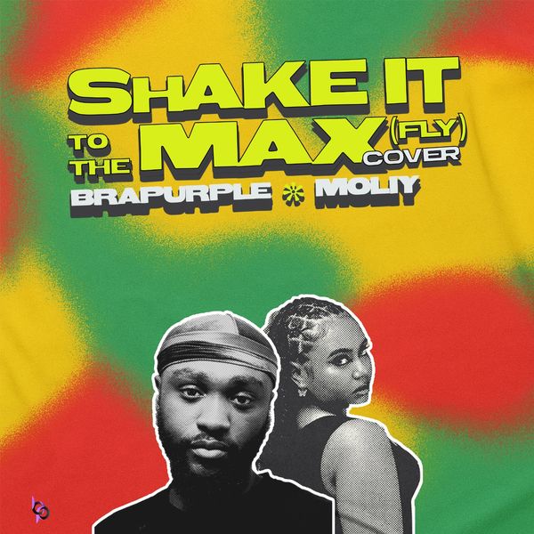 Shake It To The Max (FLY) - Cover